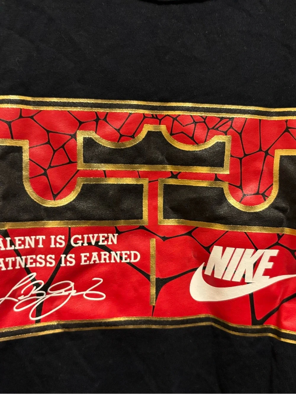 Vintage Nike LeBron graphic tee 2010s